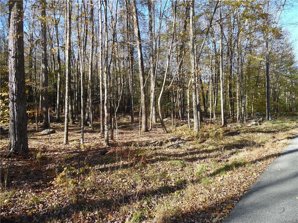 Hilltop Road - Photo 1