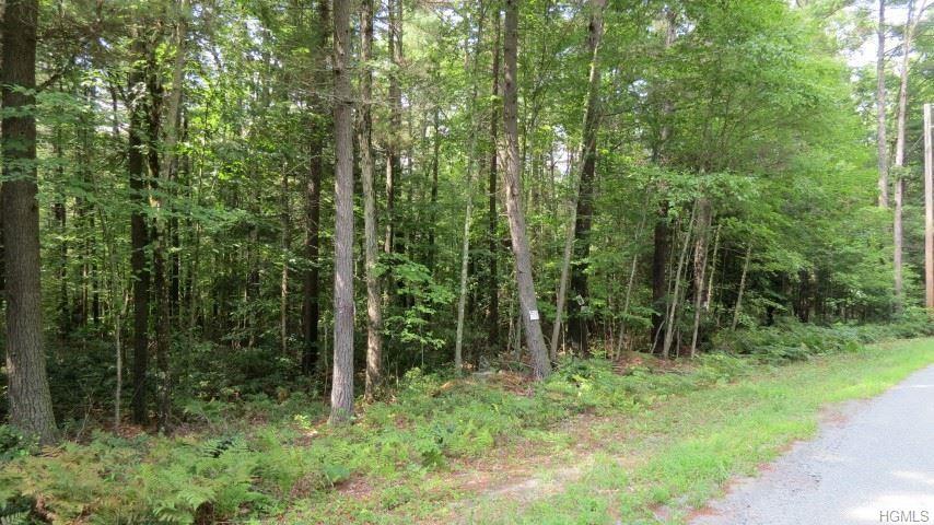 Lot 80 Ebenezer Lane - Photo 1