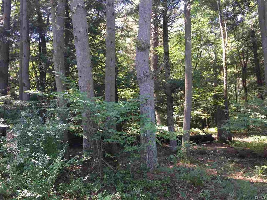 Lot 81 Ebenezer Lane - Photo 1