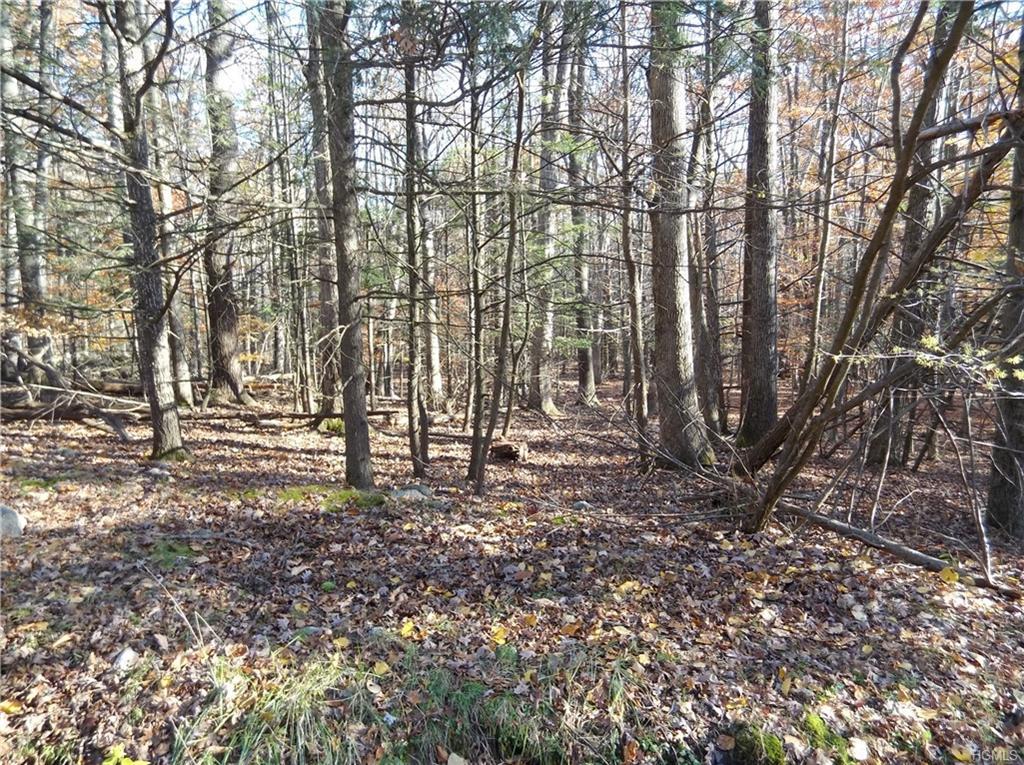 Wildwood Circle - Photo 1