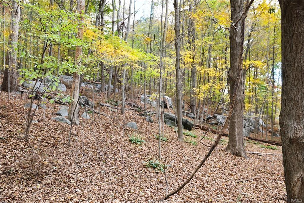3326 Carmel-Kent Cliffs Road - Photo 1