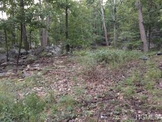 93 Blueberry Hill - Photo 1