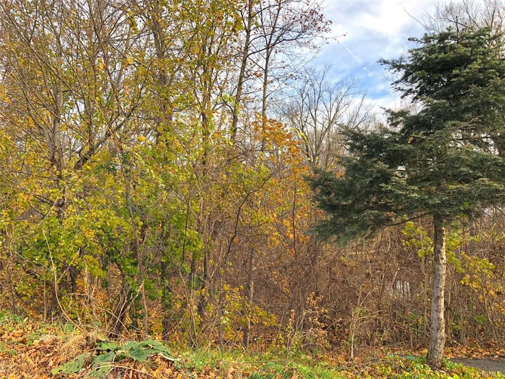 16 Orange Turnpike - Photo 1