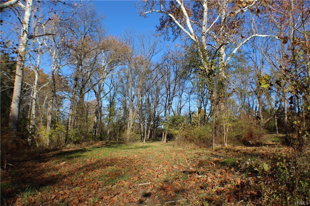 Sanfordville Road - Photo 1