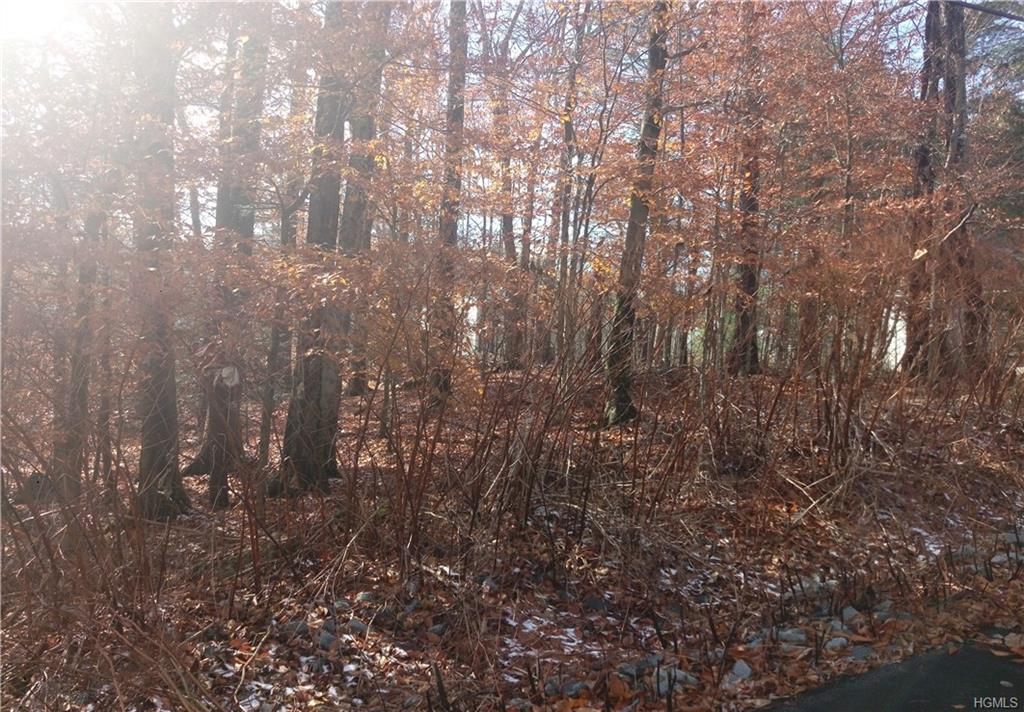 Laurel Avenue - Photo 1