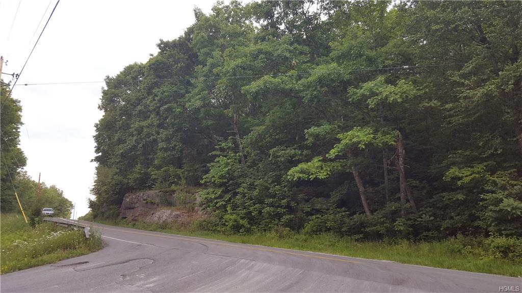 322 Heiden Road - Photo 1