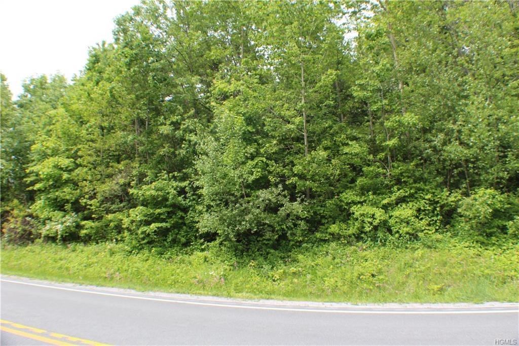 Greenville Turnpike - Photo 1