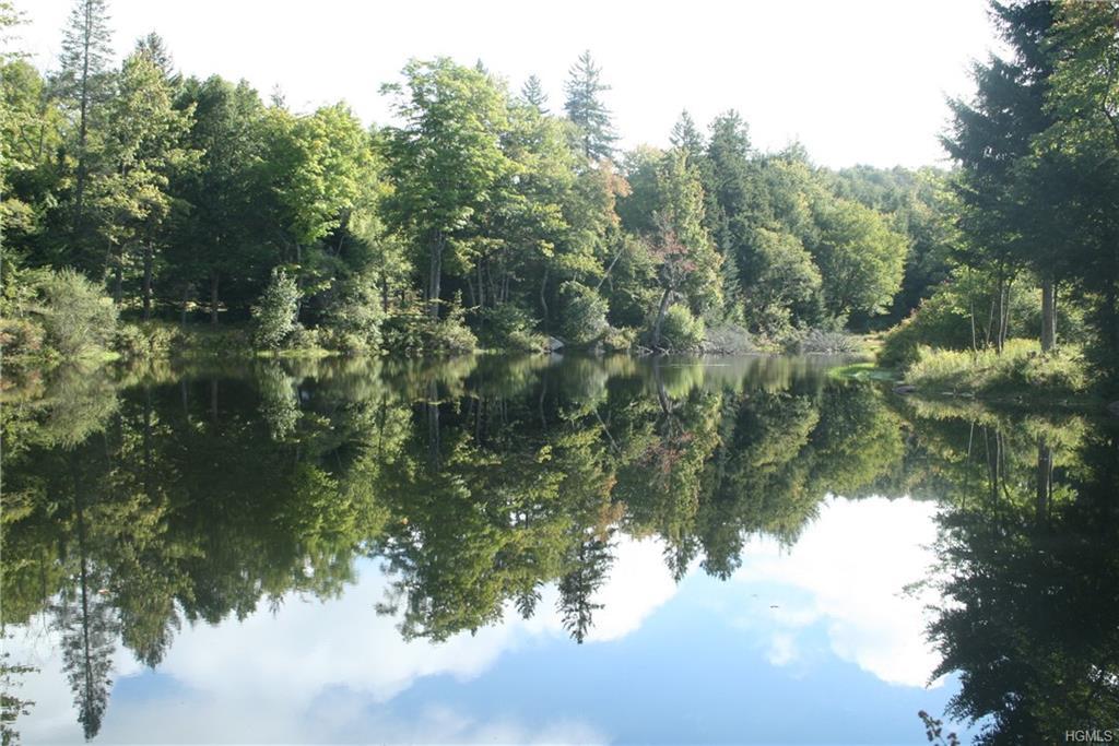 Pearl Lake Road - Photo 1