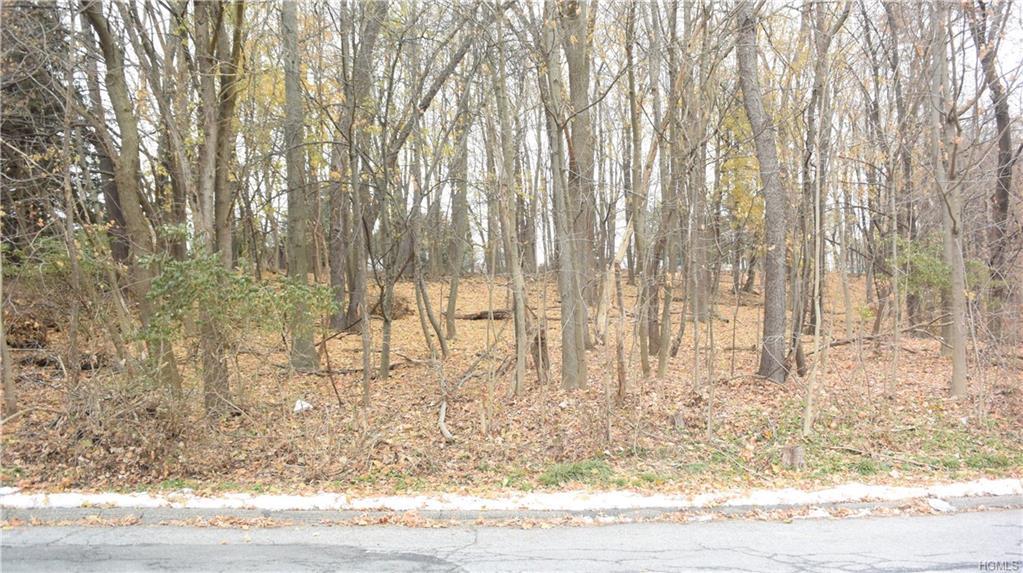 162 Old Orange Avenue - Photo 1