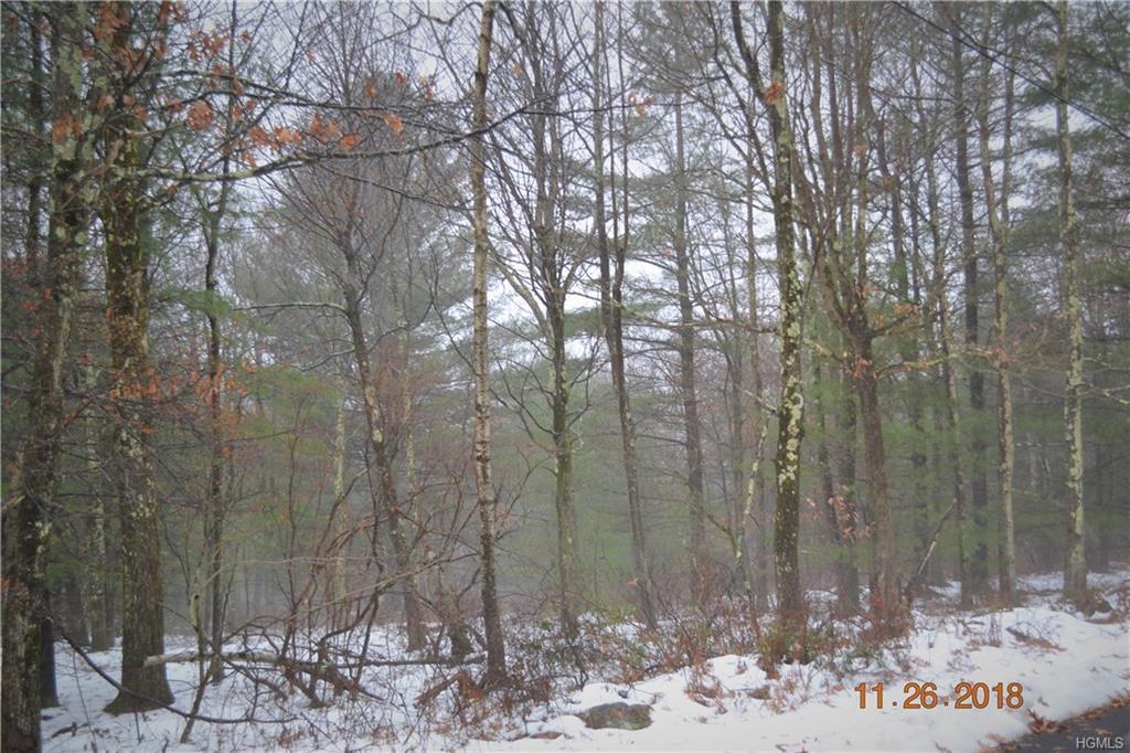 Lybolt Road - Photo 1