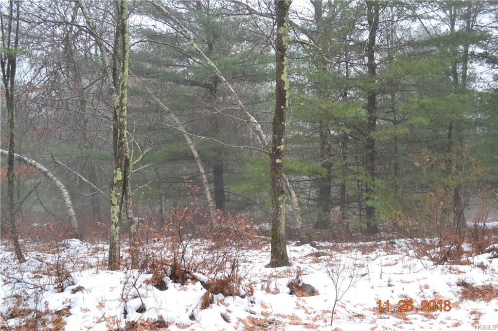 Lybolt Road - Photo 1