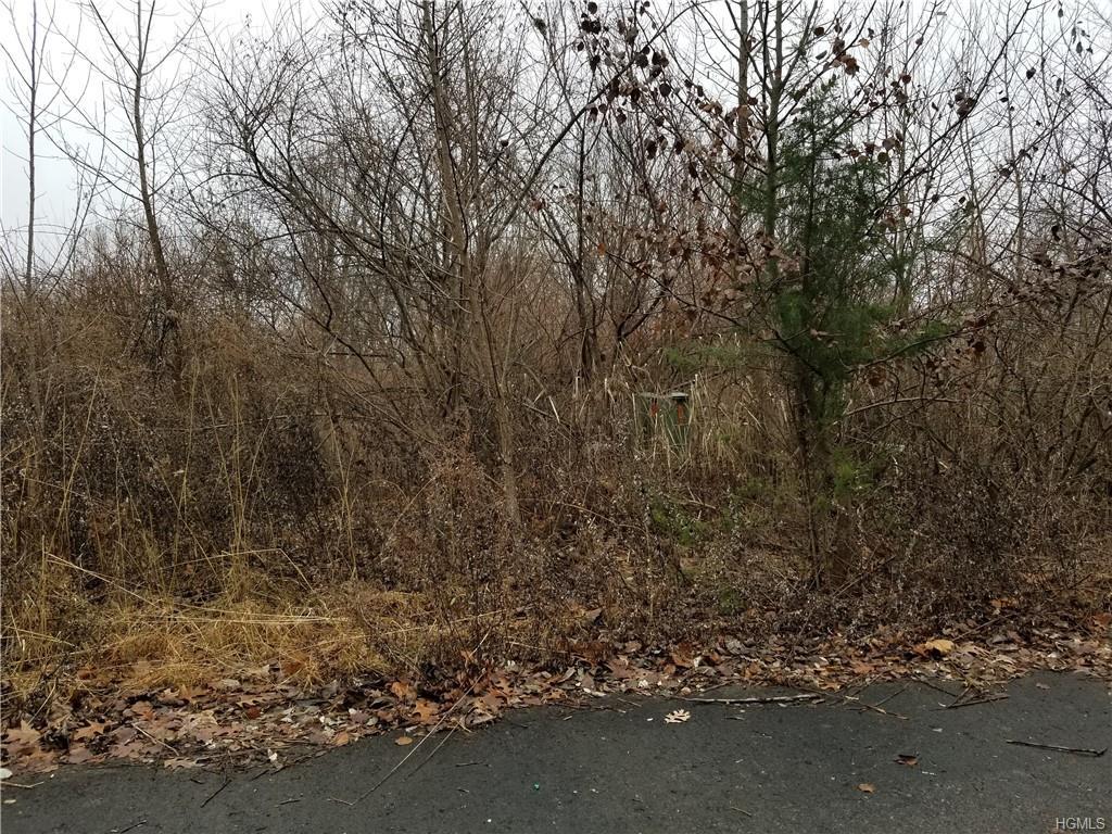 Fair Haven Court - Photo 1