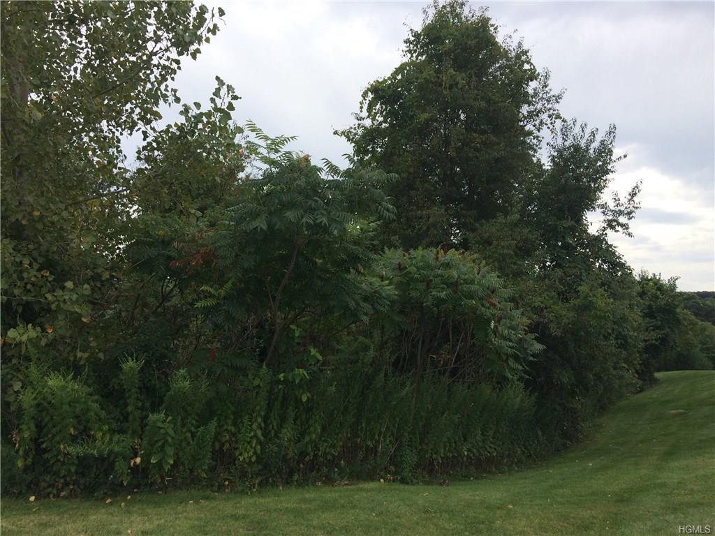 7 Ruby Road - Photo 1
