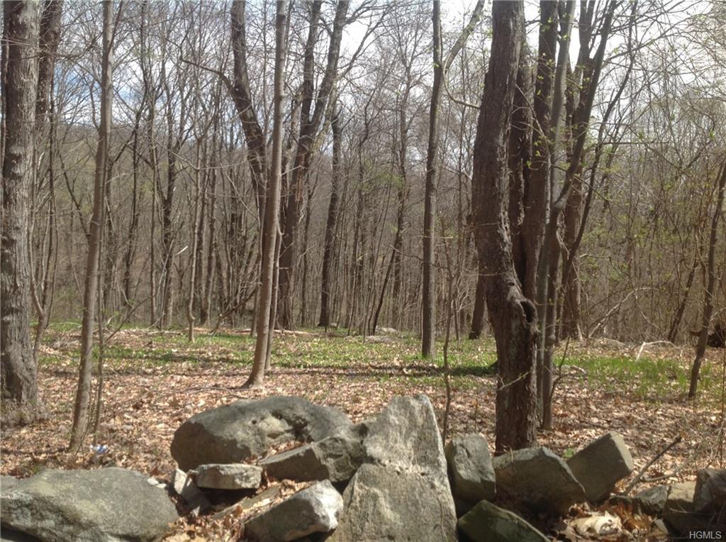 495 Stormville Mountain Road - Photo 1