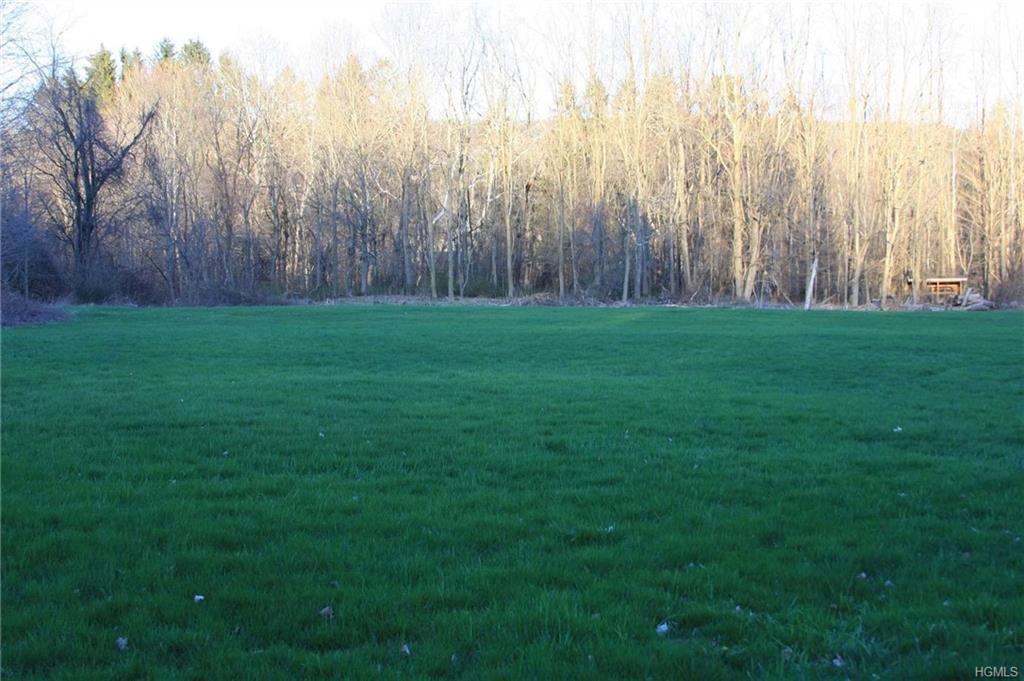 Buck Drive - Photo 1