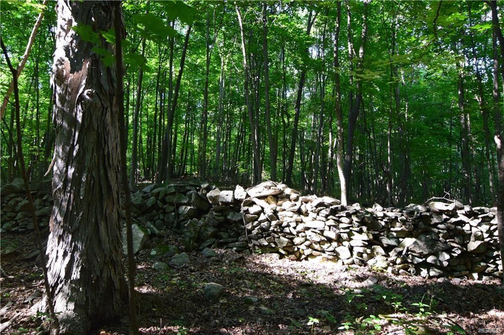 Reinhardt Road - Photo 1