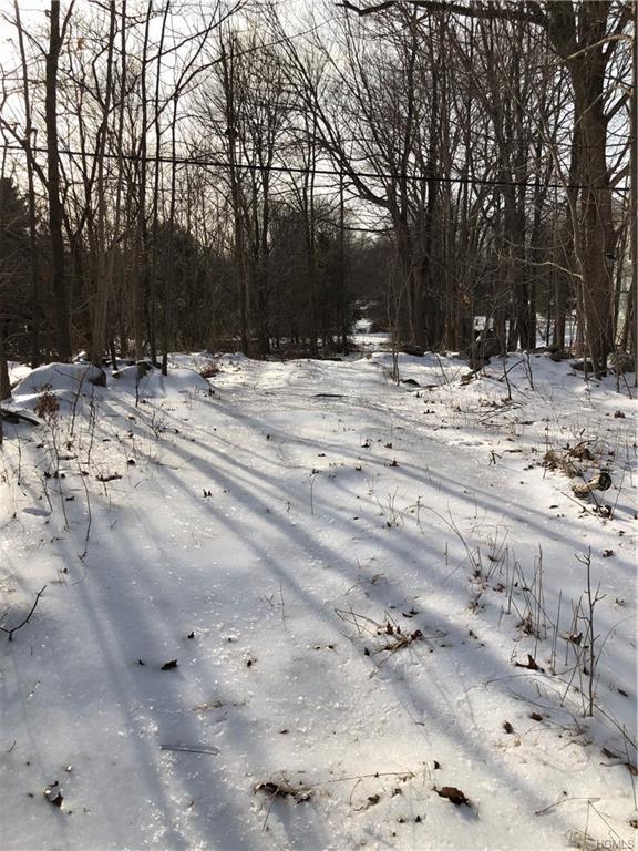 243 Secor Road - Photo 1