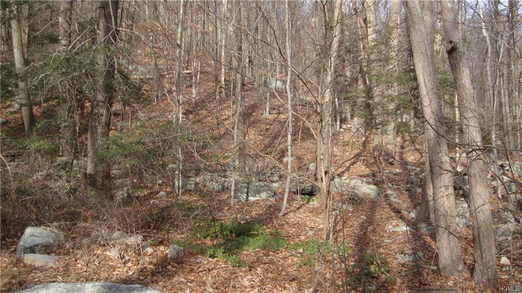 1185 Mountain Road - Photo 1