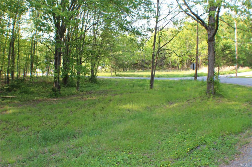 56 Route 209 - Photo 1