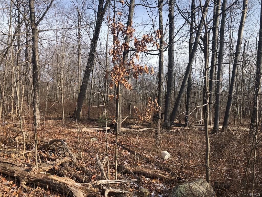 Cox Road - Photo 1