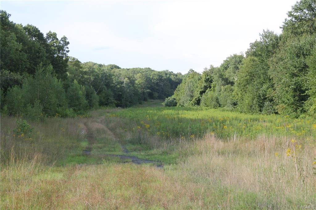 Budd Lane - Photo 1