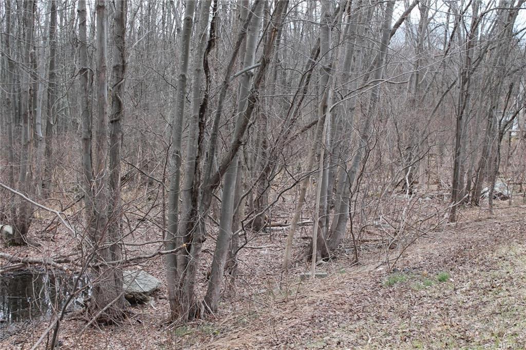 3745 Route 52 - Photo 1