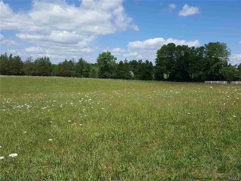 23 Morgan - Photo 1