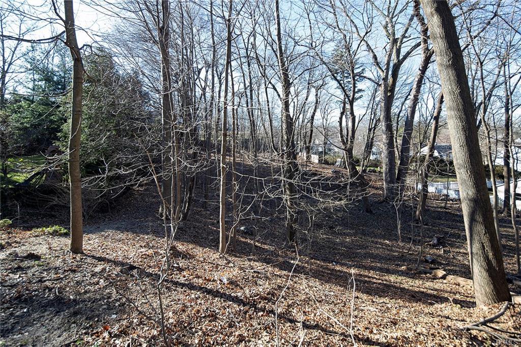 55 Lynden Street - Photo 1