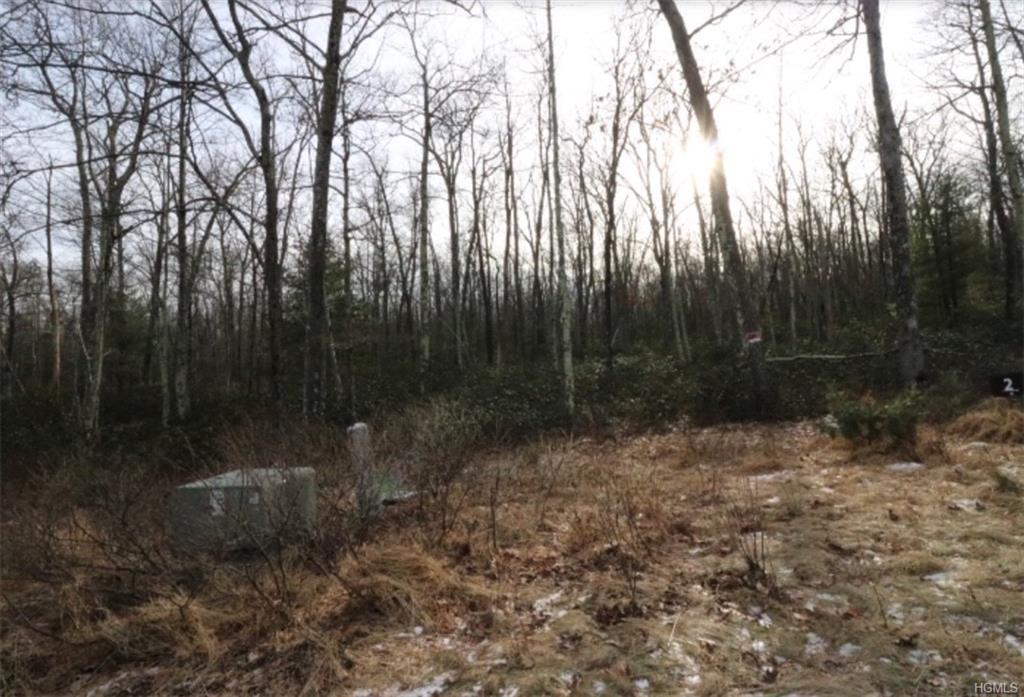 Pine Lake Drive - Photo 1