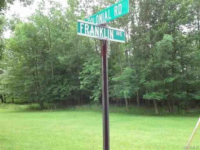 00 Franklin Avenue - Photo 1