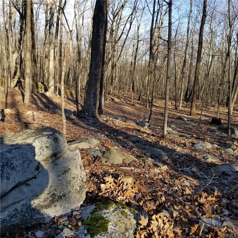 tbd Cox Road - Photo 1