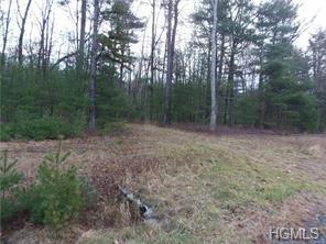 1474 Lot#5 Route 42 - Photo 1