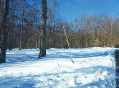 Albany Post Road - Photo 1