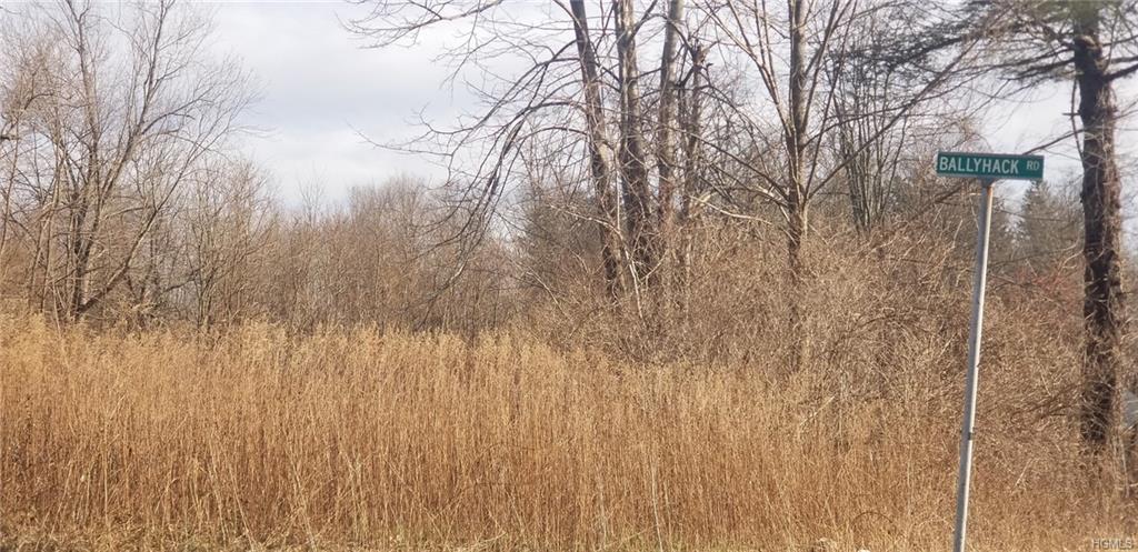 2096 Route 22 - Photo 1