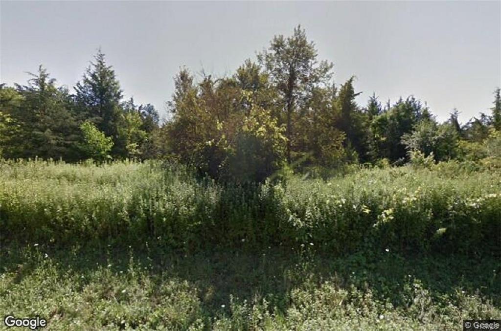 7204 Albany Post Road - Photo 1