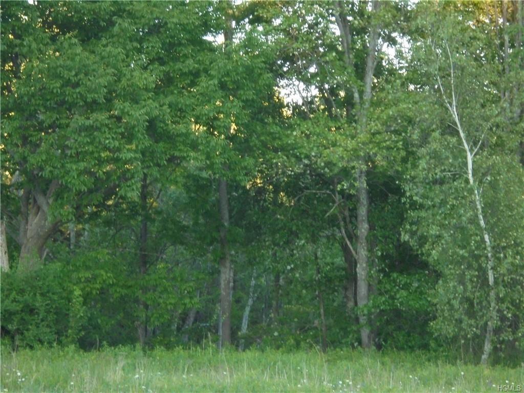 55 Beech Street - Photo 1