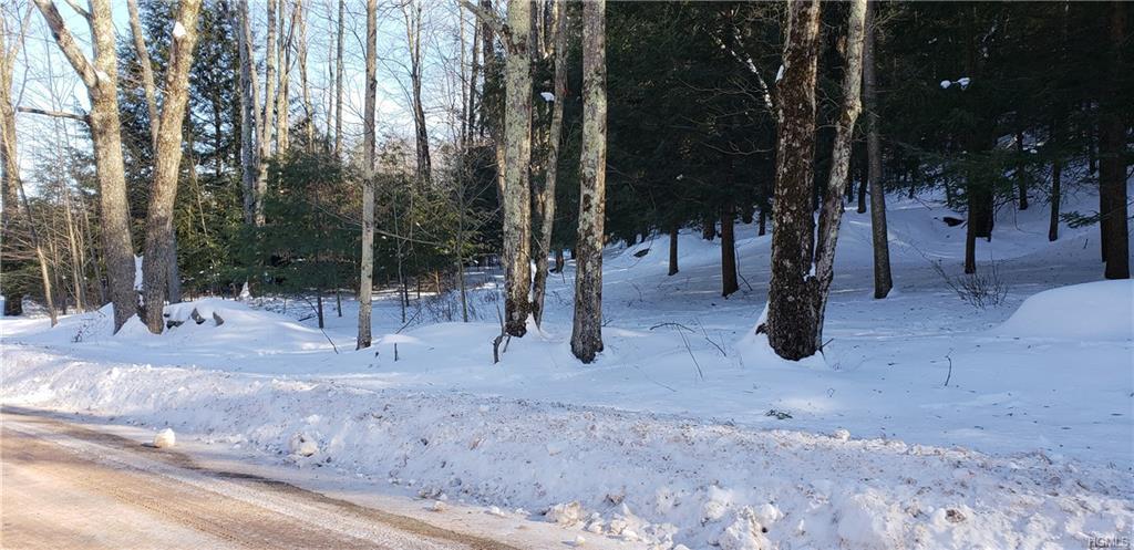 Twin Bridge Road - Photo 1