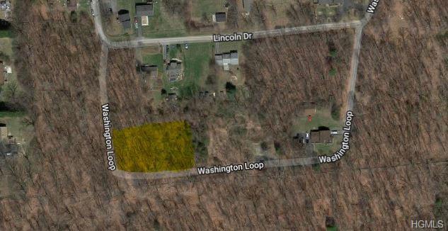 21 Washington Loop - Photo 1