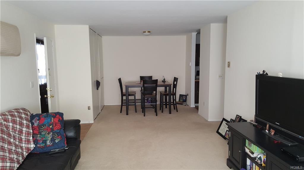 70 Patterson Village Court - Photo 1