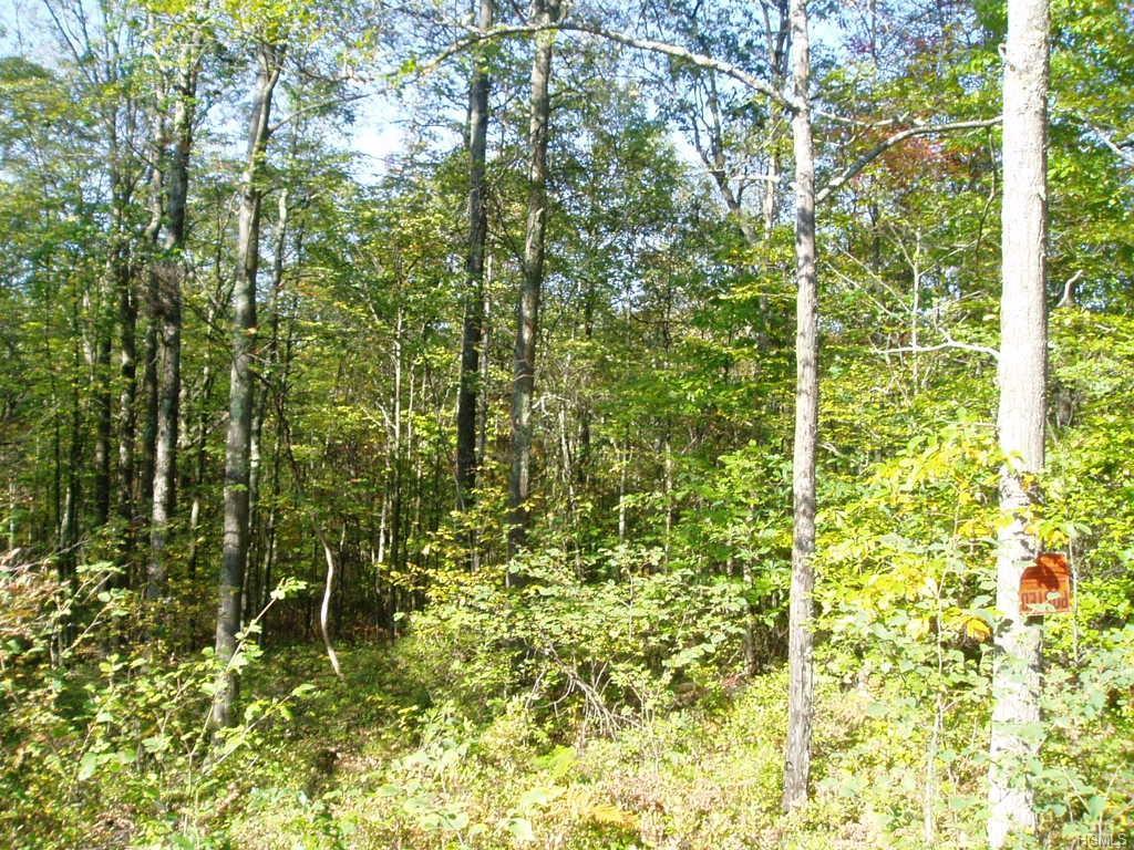 Lenne Lenape Road - Photo 1