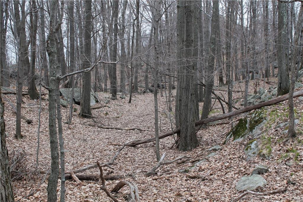 Woodmont Road - Photo 1