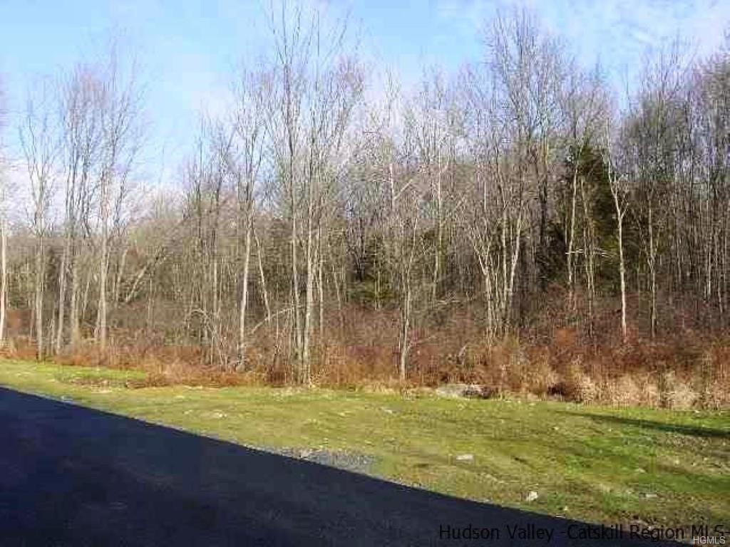 Huckleberry Turnpike - Photo 1