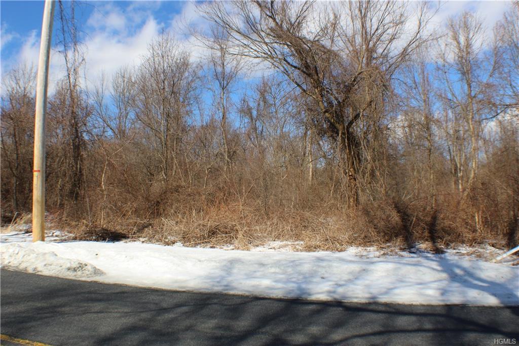 Eatontown Road - Photo 1