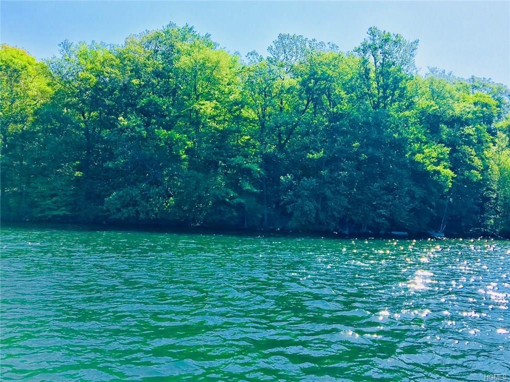 Canopus Island - Photo 1