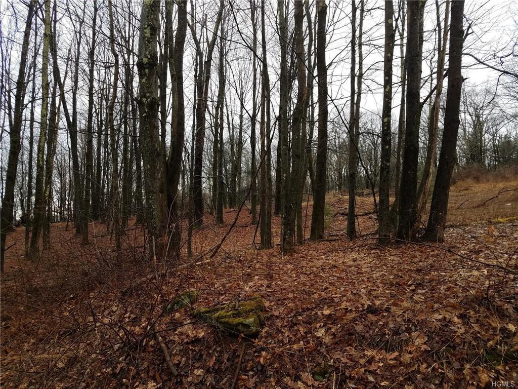 Old Glen Wild Road Tr 103 - Photo 1