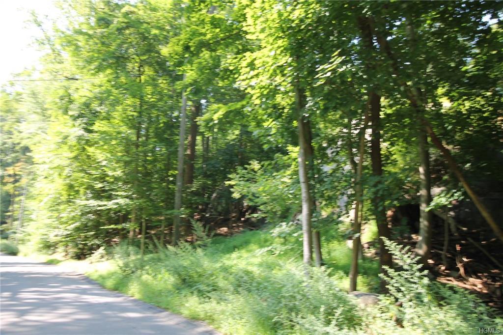 Old Sleepy Hollow Road - Photo 1