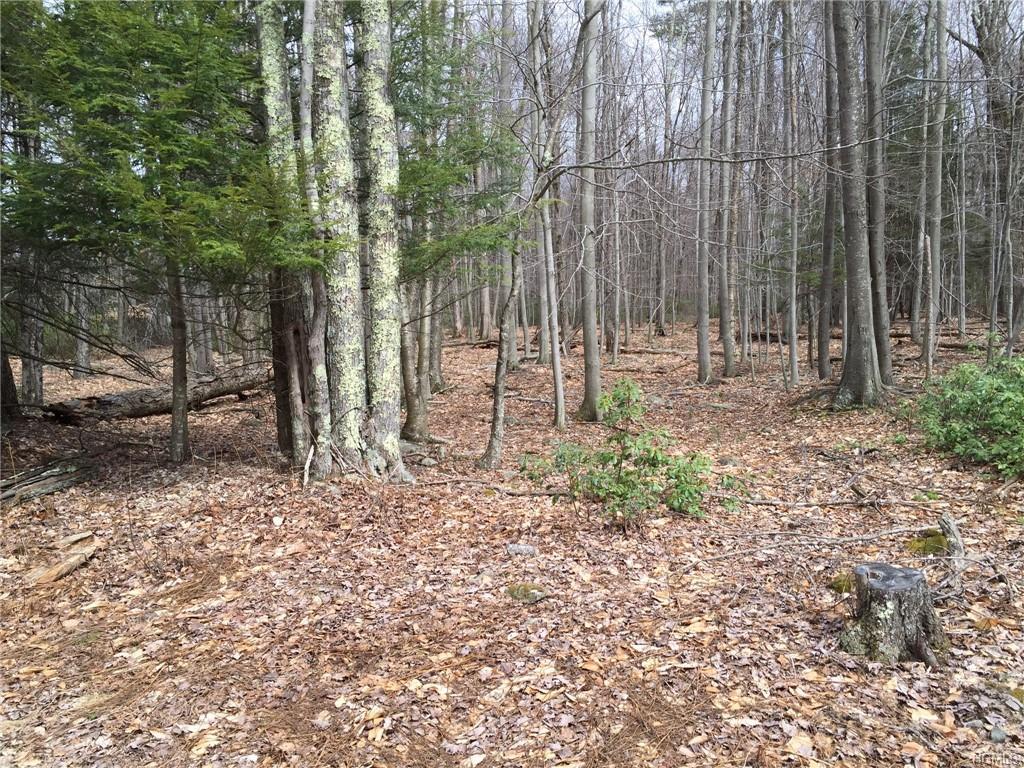 Brown Road - Photo 1