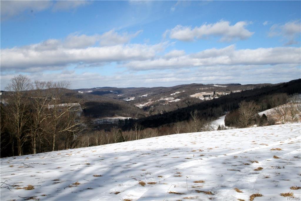 Schwartz - Photo 1