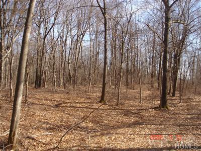 51 Woodlands Trail - Photo 1
