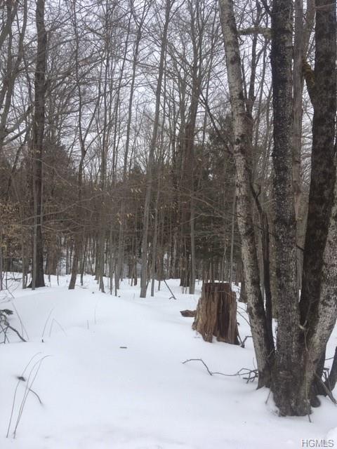 White Roe Lake Road - Photo 1